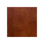 Coffee Cherry Sample Square