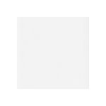 Vienna White Shaker Sample Square